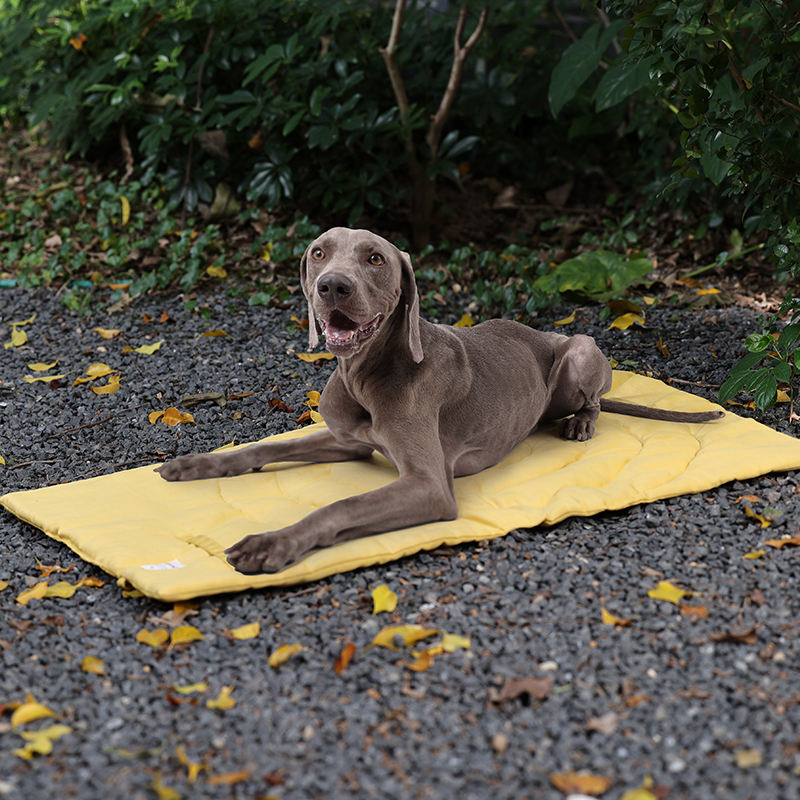 Alas hewan peliharaan portabel - Outdoor Camping Dog Kennel ulasan dan harga