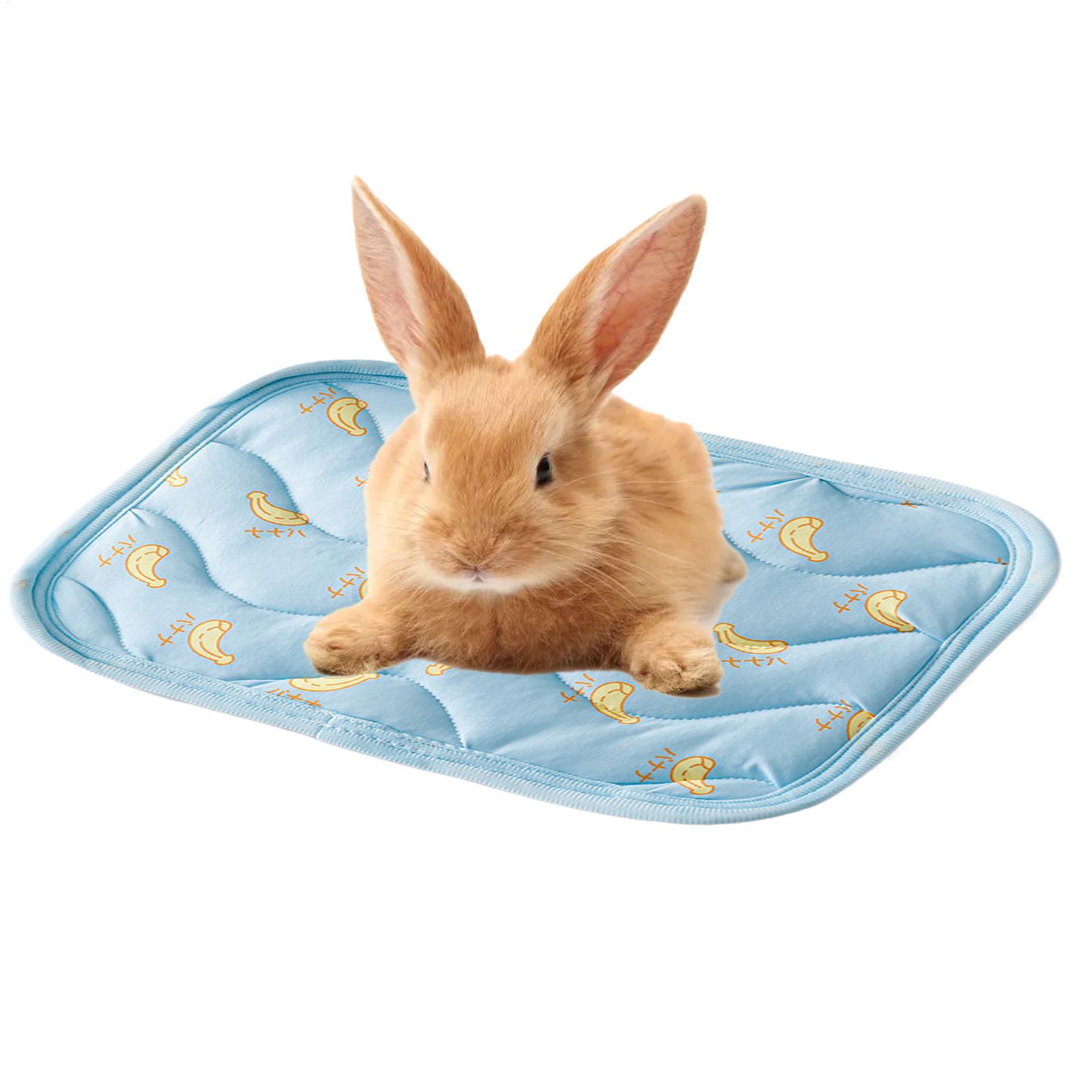 Alas Pendingin Hewan Peliharaa - Outdoor Camping Dog Kennel ulasan dan harga