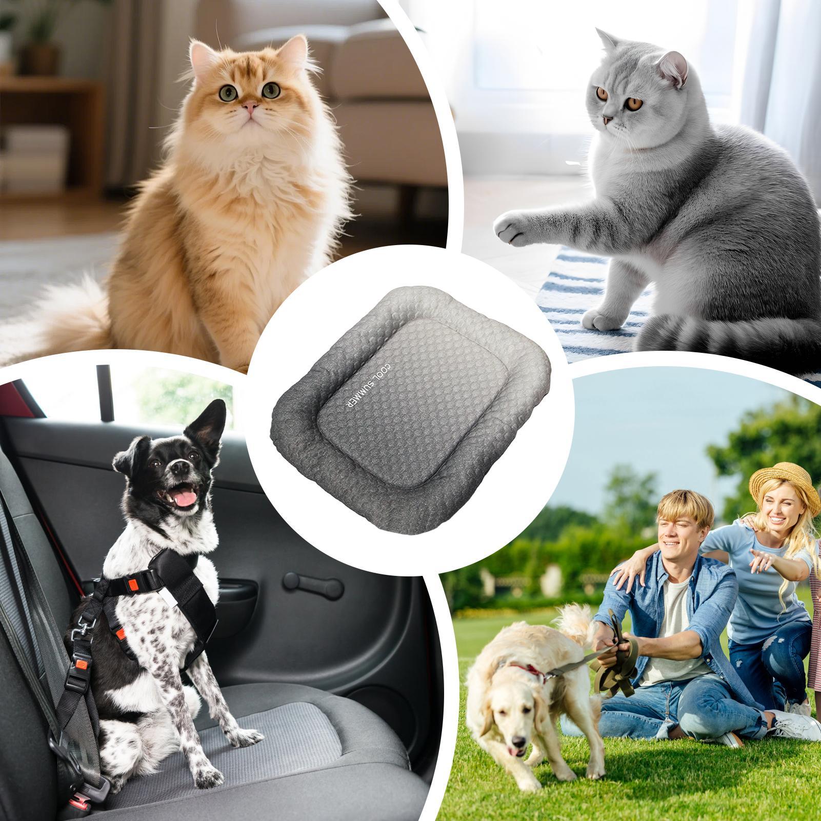 Alas Pendingin Anjing Portabel - Outdoor Camping Dog Kennel ulasan dan harga
